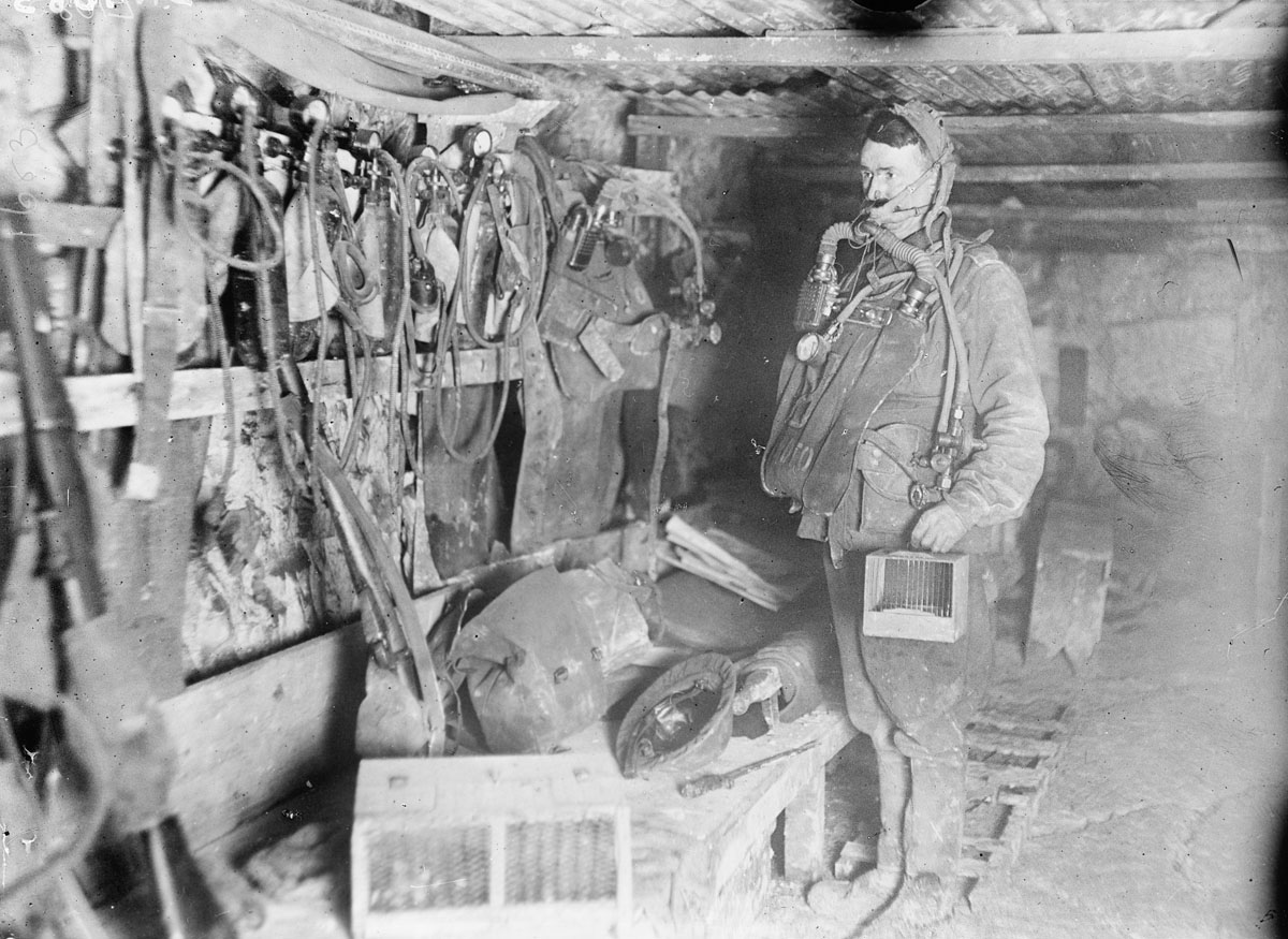 A sapper wears a 'Proto' breathing apparatus and carries a small cage containing either a mouse or canary for detecting gas. Loos, France 31 January 1918.